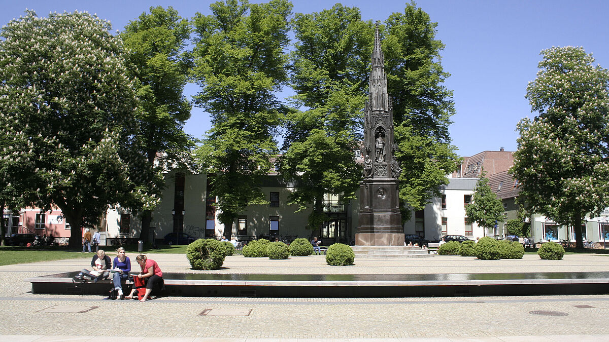 Studium in Greifswald
