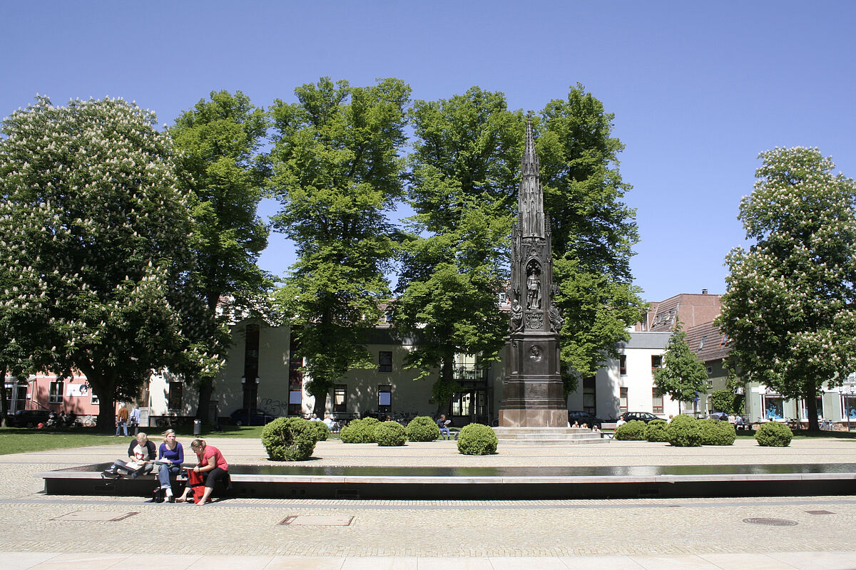 Studium in Greifswald